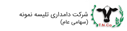 تلیسه نمونه (تهران)