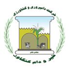 شیر و گوشت کنگاور