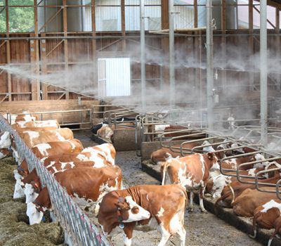 Livestock Cooling Systems